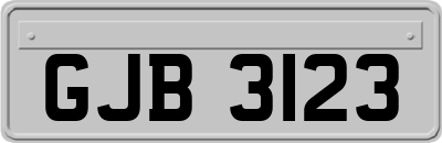 GJB3123