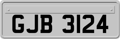 GJB3124