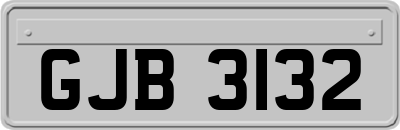 GJB3132