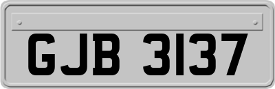 GJB3137