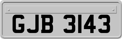 GJB3143