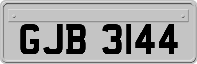 GJB3144