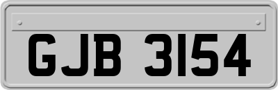 GJB3154