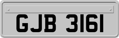 GJB3161
