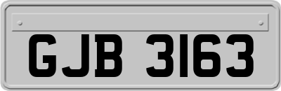 GJB3163