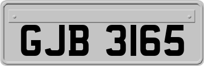 GJB3165