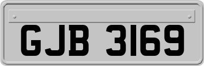 GJB3169