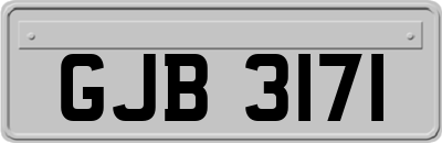 GJB3171