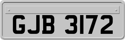 GJB3172