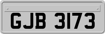 GJB3173