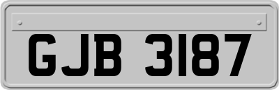 GJB3187