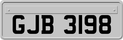 GJB3198