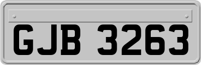 GJB3263