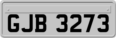GJB3273