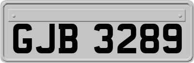 GJB3289