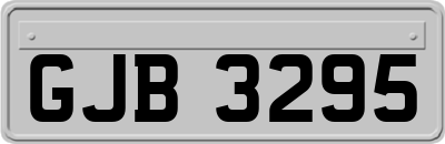 GJB3295