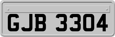 GJB3304