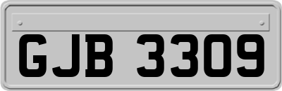 GJB3309