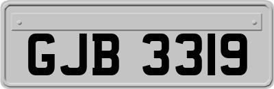 GJB3319
