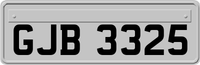 GJB3325