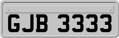 GJB3333
