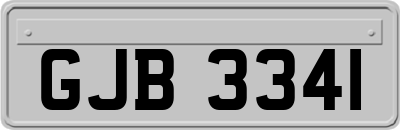 GJB3341