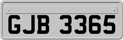 GJB3365