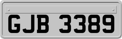 GJB3389