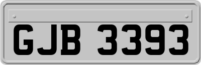 GJB3393