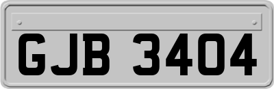 GJB3404