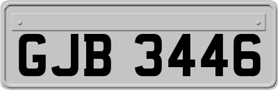 GJB3446