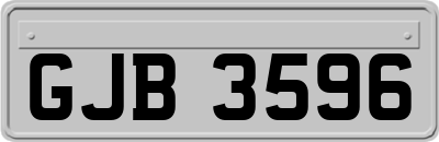 GJB3596
