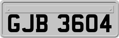 GJB3604