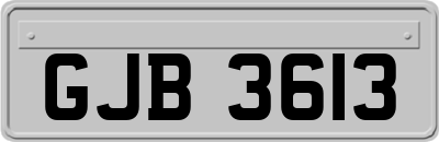 GJB3613