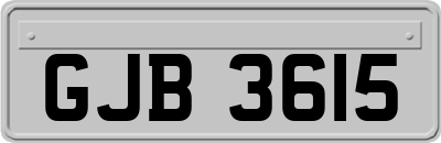 GJB3615