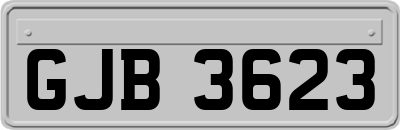 GJB3623