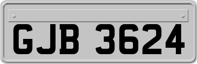 GJB3624