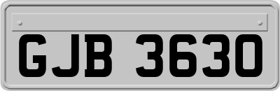 GJB3630