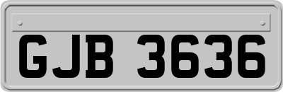 GJB3636