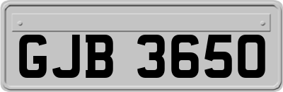 GJB3650