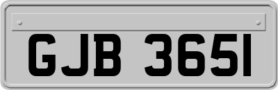 GJB3651