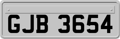 GJB3654