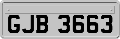 GJB3663
