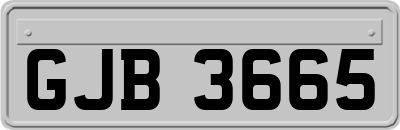 GJB3665