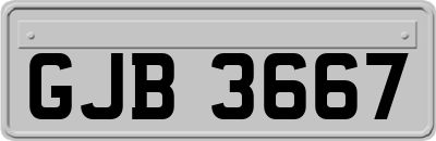 GJB3667
