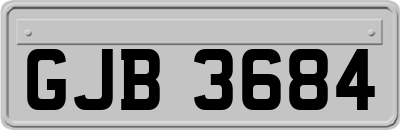 GJB3684