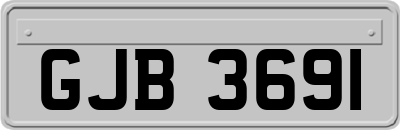 GJB3691