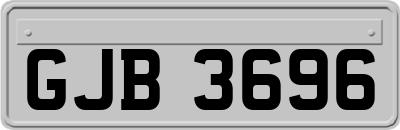 GJB3696