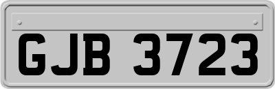 GJB3723
