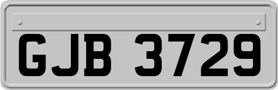 GJB3729